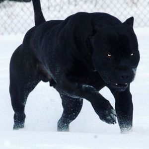 Meet your Posher, Keith